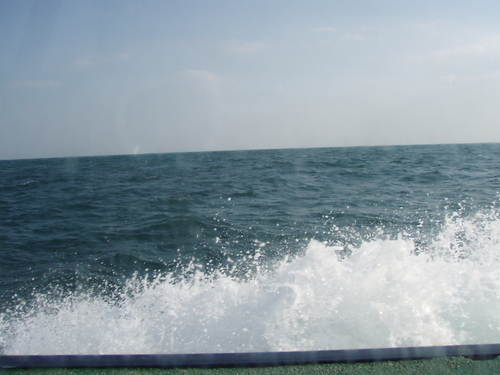 b0121015_21404513.jpg