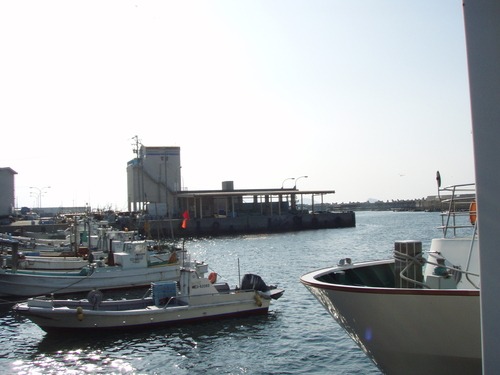 b0121015_21414778.jpg
