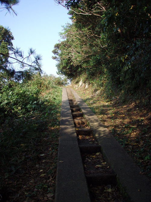 b0121015_21534514.jpg