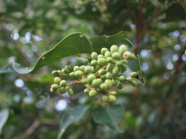f0185920_2249299.jpg