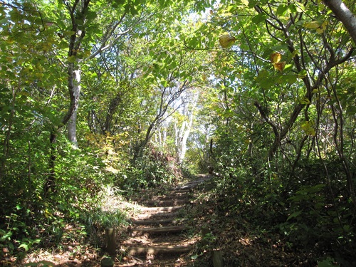 f0149422_16294753.jpg