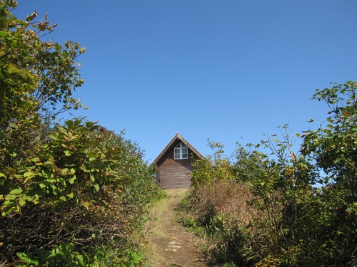 f0149422_16311518.jpg
