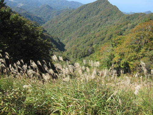 f0149422_16321964.jpg