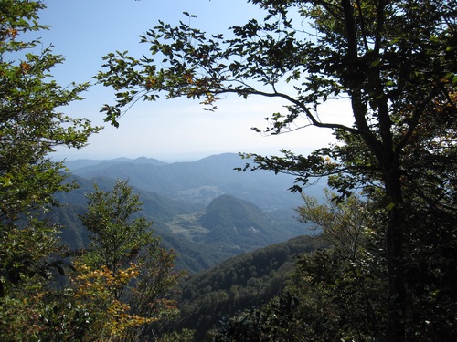 f0149422_16323777.jpg