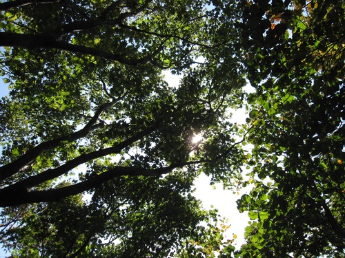 f0149422_1633212.jpg