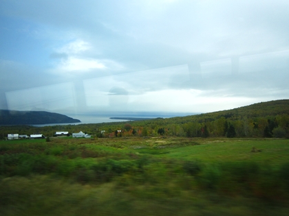 a0105023_2046472.jpg