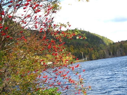 a0105023_2114813.jpg