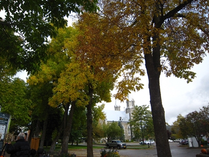 a0105023_2142053.jpg