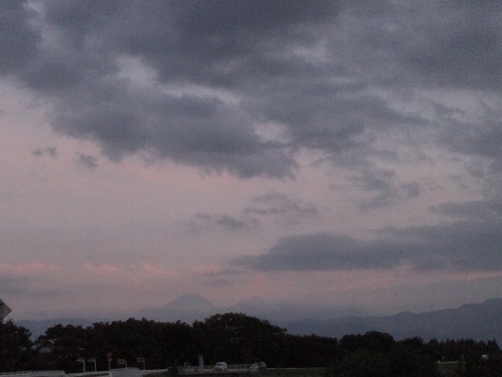 b0199924_20553959.jpg