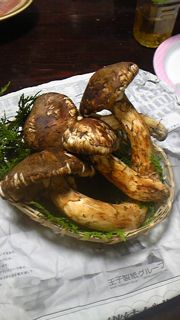 e0107725_2337845.jpg