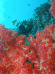 b0100730_22131768.jpg