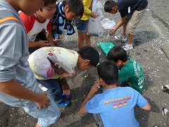 e0069234_782147.jpg