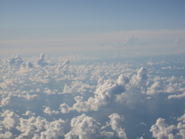 d0088735_20302677.jpg