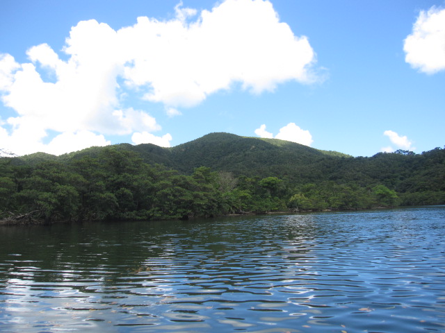 d0088735_20342232.jpg