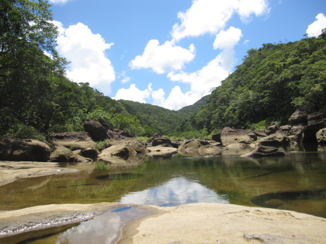 d0088735_20384295.jpg