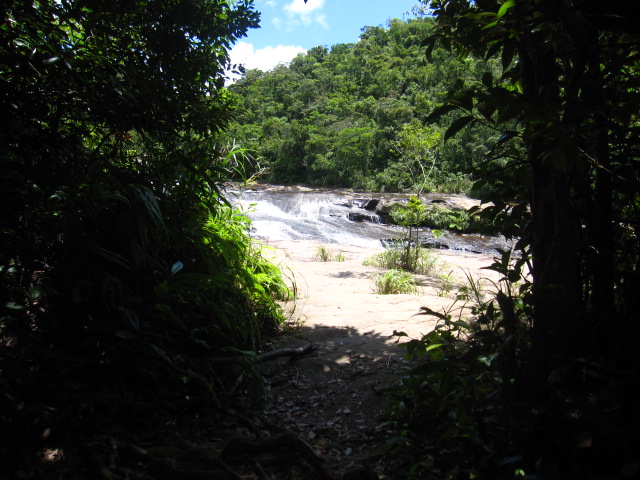 d0088735_20442881.jpg