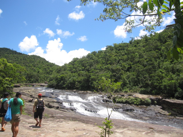 d0088735_2046228.jpg