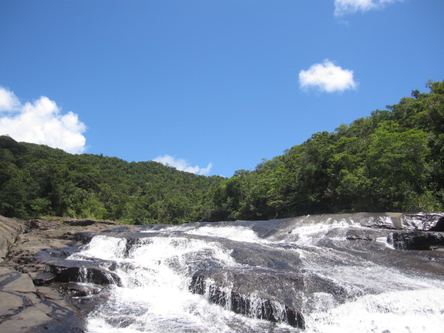 d0088735_20464428.jpg