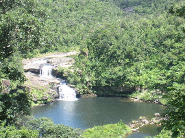 d0088735_2049828.jpg