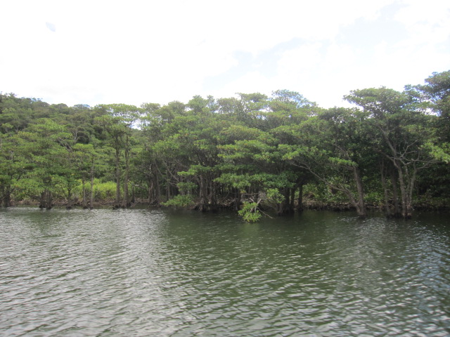 d0088735_20511953.jpg