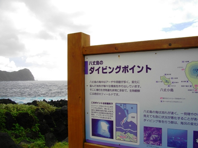 c0101739_21435697.jpg