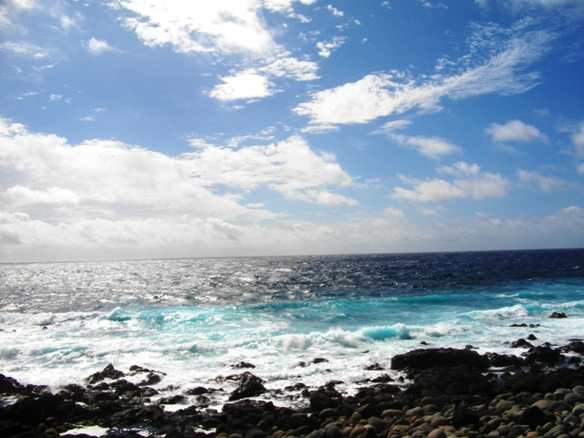 c0101739_21441174.jpg