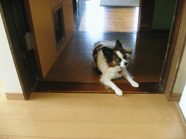 a0149240_1155156.jpg
