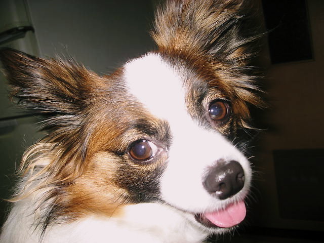 a0149240_1218916.jpg