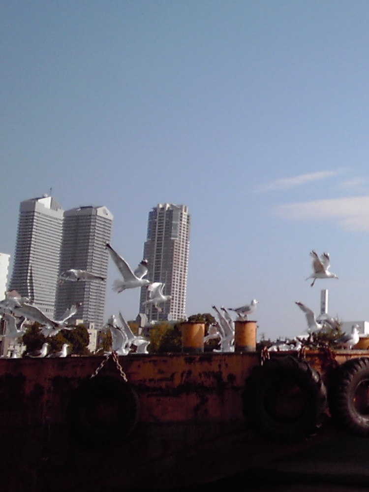 a0137142_11243839.jpg