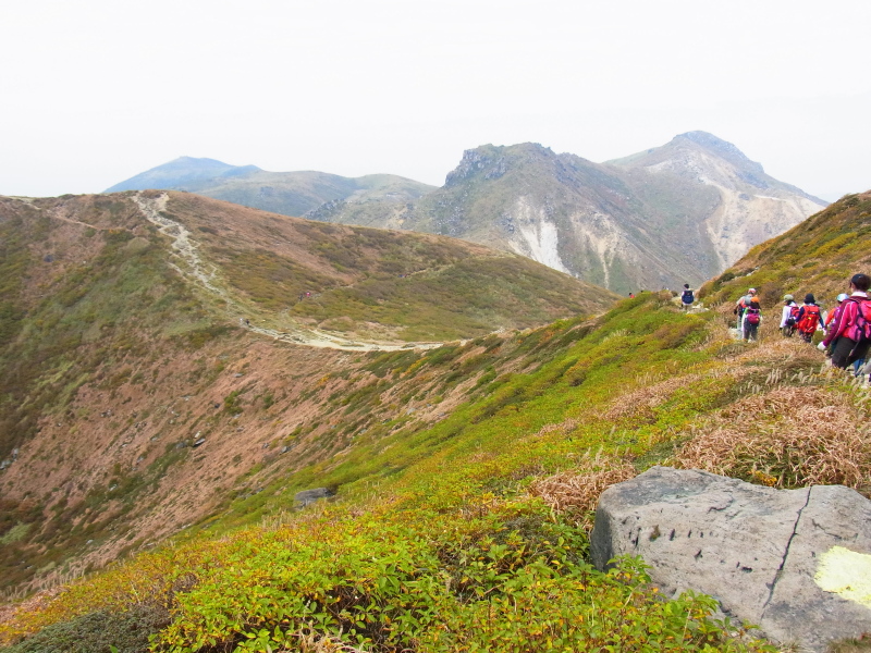 b0190242_13235166.jpg