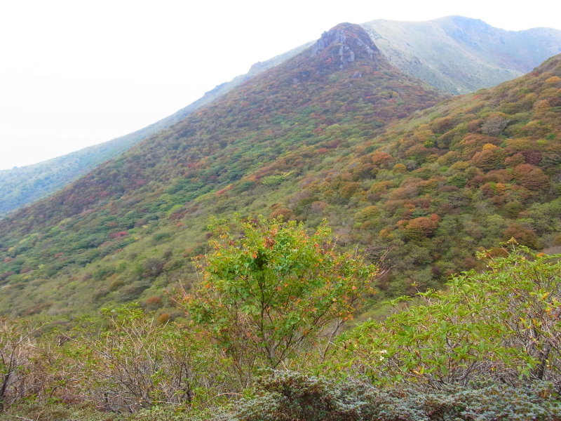 b0190242_13262981.jpg