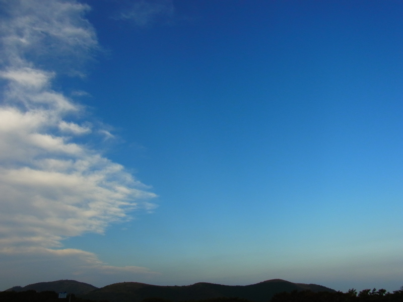 b0190242_1334451.jpg