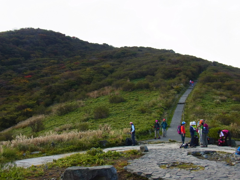 b0190242_1354682.jpg