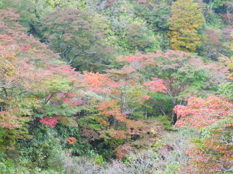 b0190242_1371567.jpg