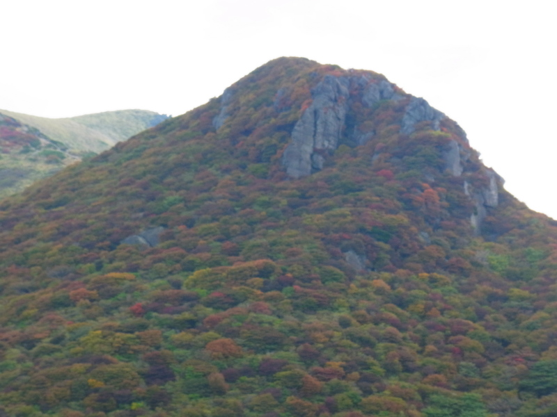 b0190242_138115.jpg