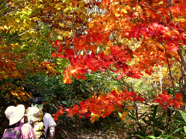c0081645_014335.jpg