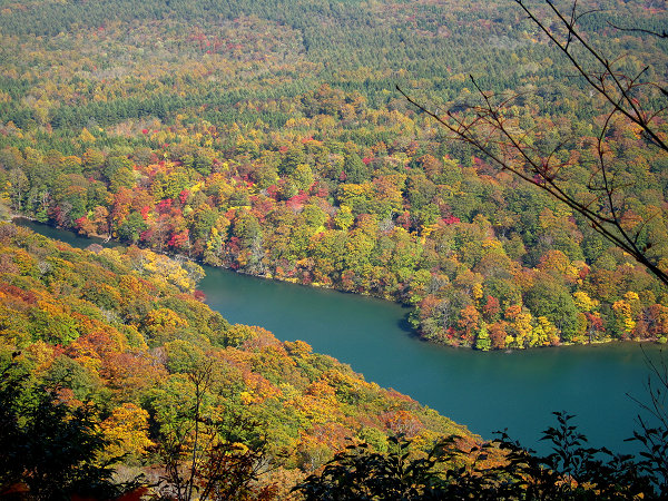 c0081645_02953.jpg