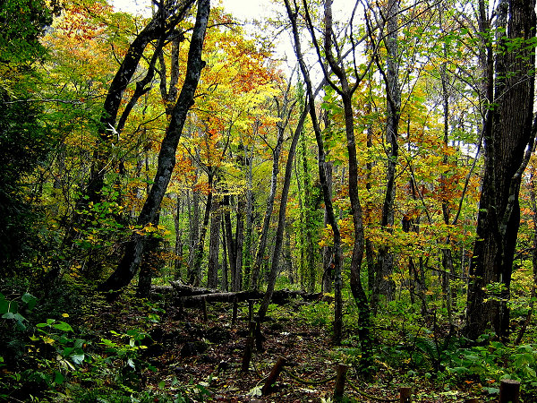 c0081645_04029.jpg
