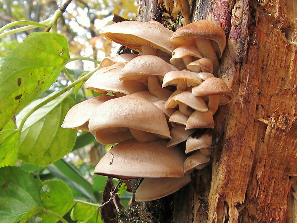 c0081645_055380.jpg