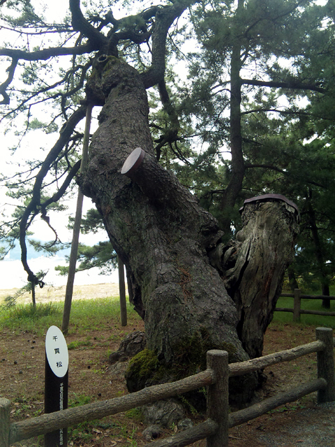b0084049_13184235.jpg