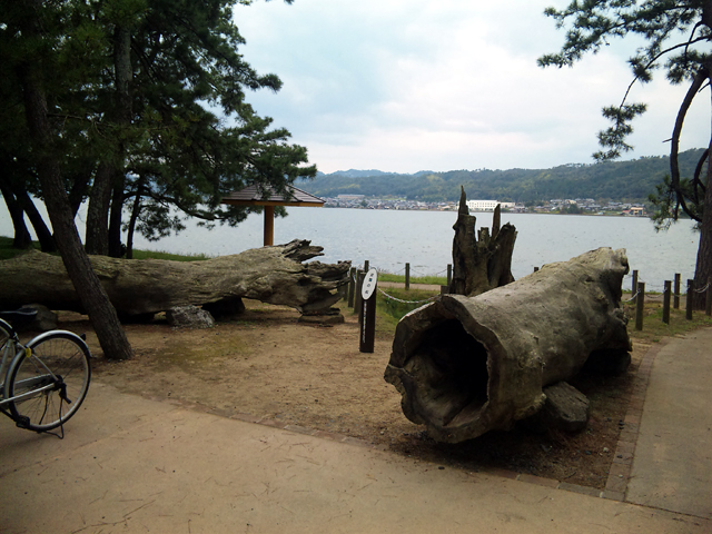 b0084049_13185290.jpg