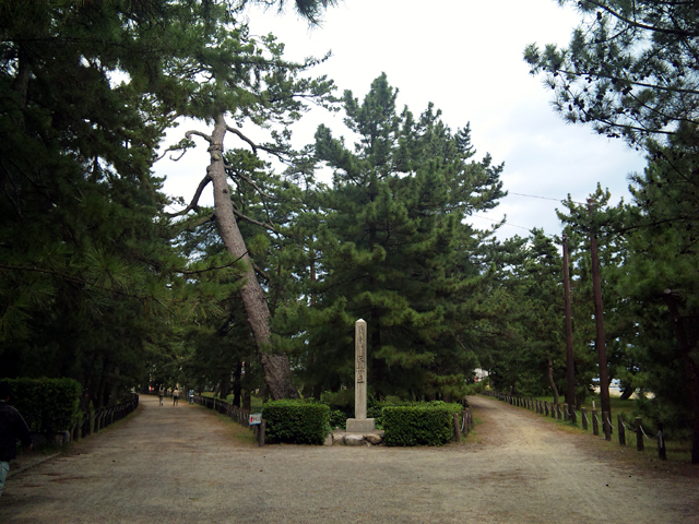 b0084049_1319336.jpg