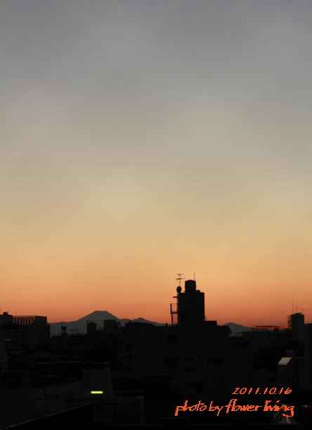 e0170658_1691962.jpg