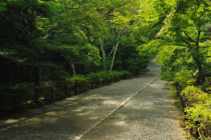 f0222161_1415248.jpg