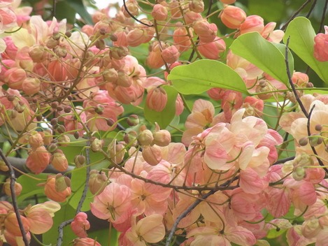 c0194067_20311698.jpg