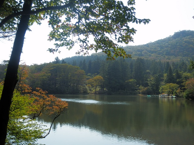 c0042869_2005743.jpg