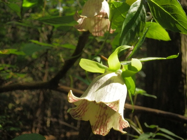 c0042869_20254185.jpg