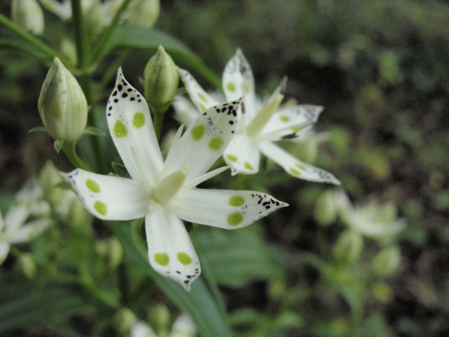 c0042869_2026949.jpg