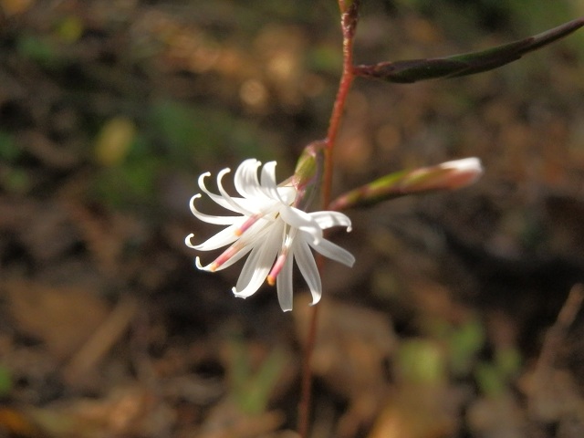 c0042869_2032546.jpg