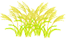 a0105570_2291137.gif